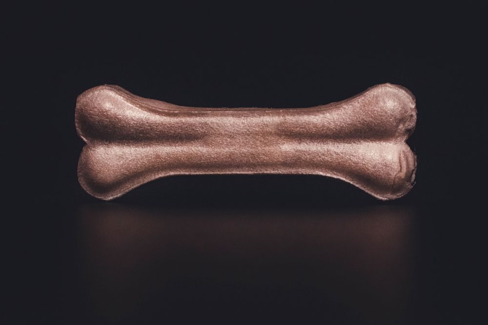 Det perfekte kødben til din hund